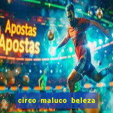 circo maluco beleza recife circo maluco